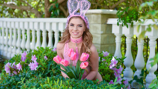 Guarda Ryan Mclane Pounds Mini Easter Bunny Babe - il miglior porno su YOUPORN.ZONE