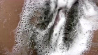 Issabella's Hairy Body in the Shower - free sex video YOUPORN.ZONE