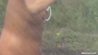 Jersie's Big Tits and Little Friend Get Wild Outdoors 보기 - YOUPORN.ZONE에서 최고의 포르노