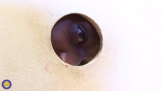 Guarda Mature Mommy Babet Swallows Huge Cock Load with Big Tits - il miglior porno su YOUPORN.ZONE